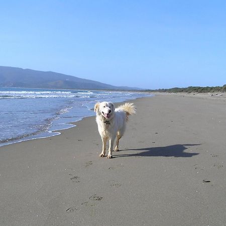 Agriturismo Grazia 오르베텔로 외부 사진