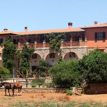 Agriturismo Grazia 오르베텔로 외부 사진