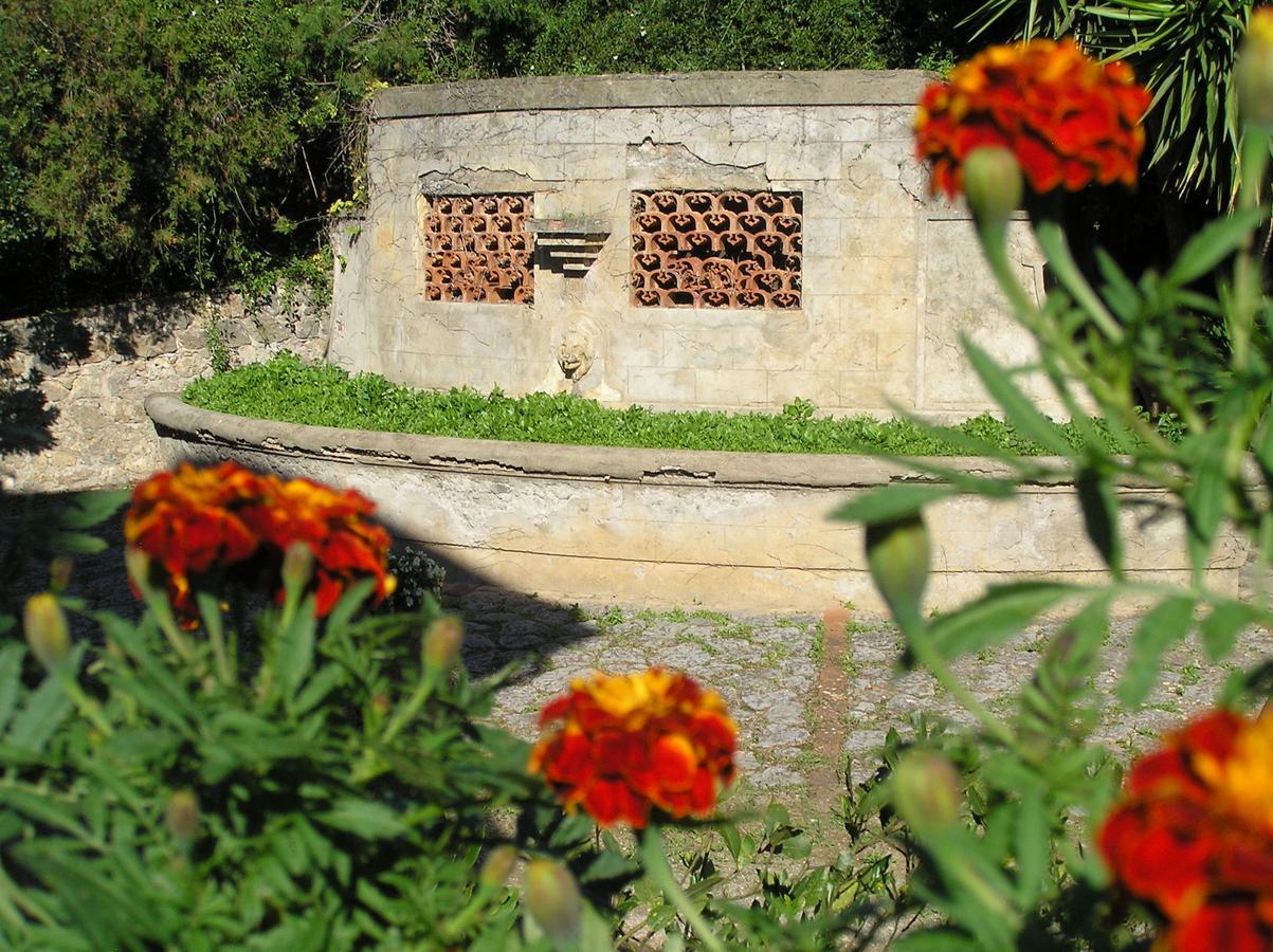 Agriturismo Grazia 오르베텔로 외부 사진